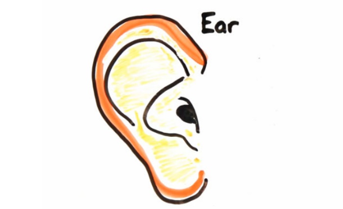 Ear-Age