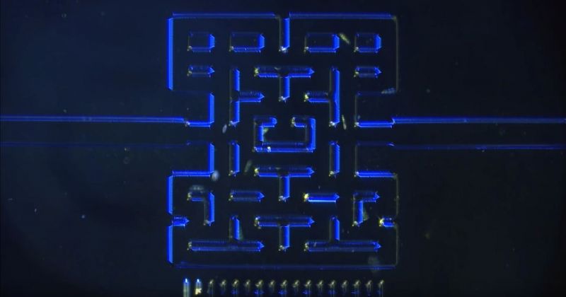 Pac-Man microscópico