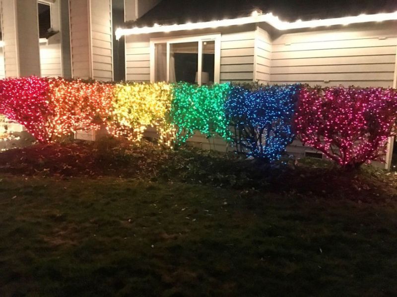 10000-rainbow-christmas-lights-lgbt-protest-bigot-neighbor-lexi-magnusson
